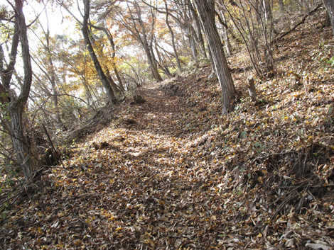 20161117hike (82)